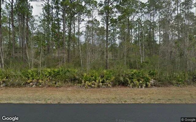 75.06 Acres in Fargo - Clinch County, GA in Clinch County, Georgia