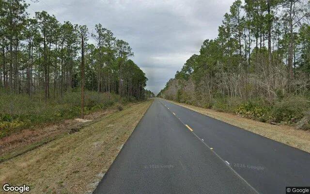 Decorative background for 75.06 Acres in Fargo - Clinch County, GA image 5