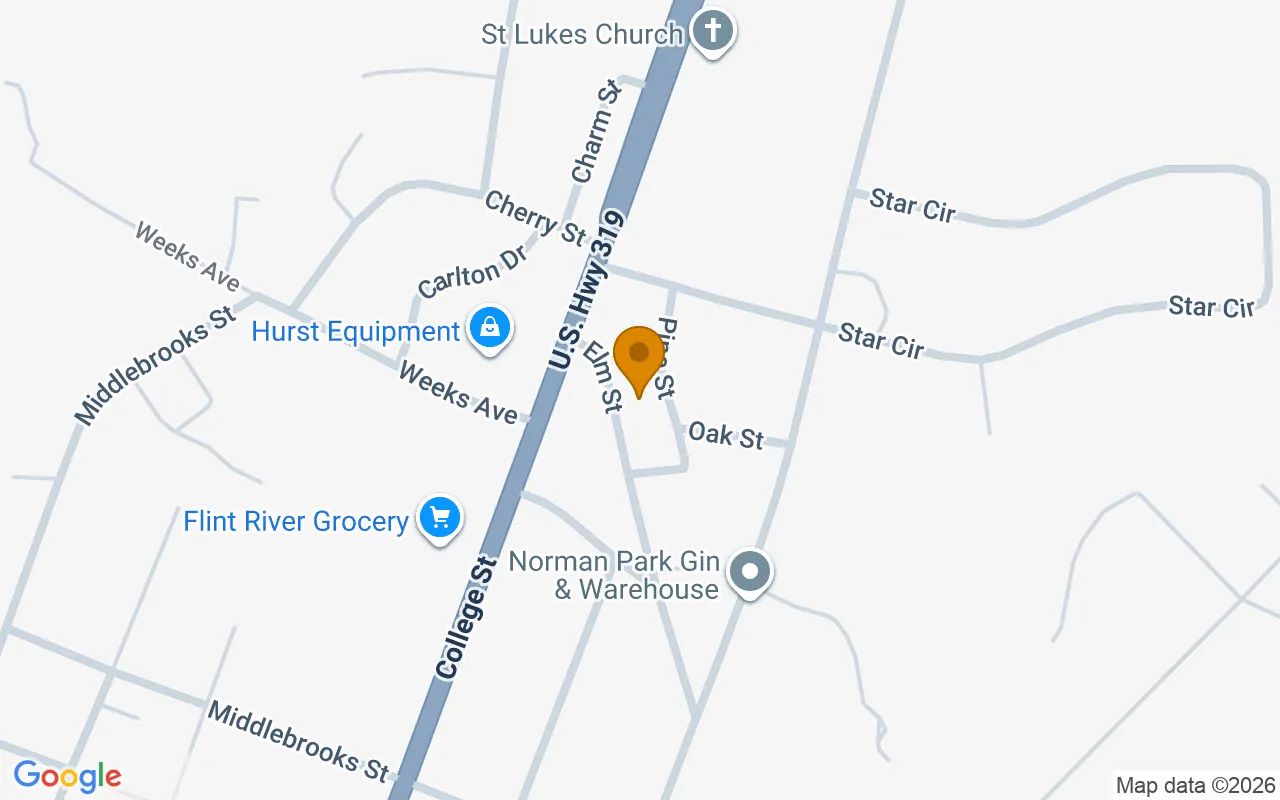 0.3 Acres in Norman Park - Colquitt County, GA in Colquitt County, Georgia