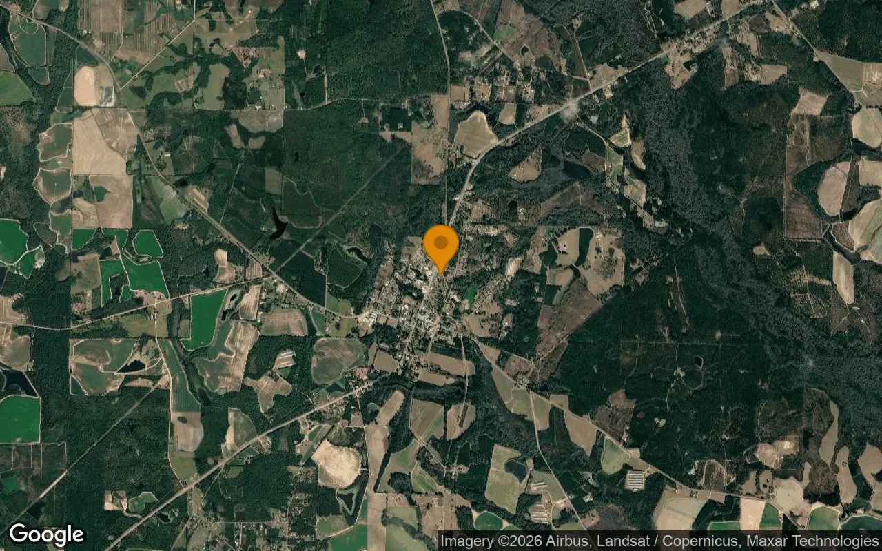 0.3 Acres in Norman Park - Colquitt County, GA in Colquitt County, Georgia