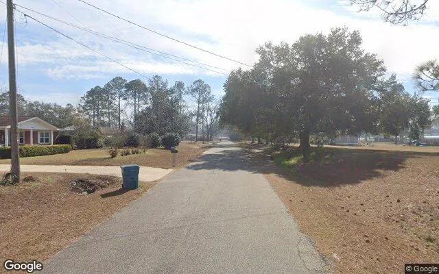 Decorative background for 0.3 Acres in Norman Park - Colquitt County, GA image 6