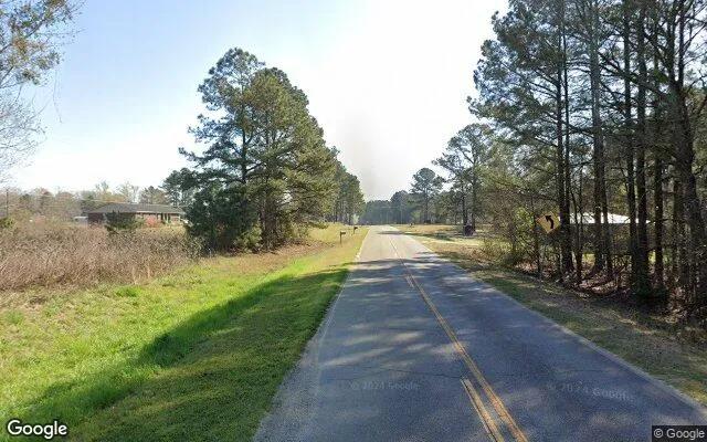 Decorative background for 3.5 Acres in Jefferson - Jefferson County, GA image 6