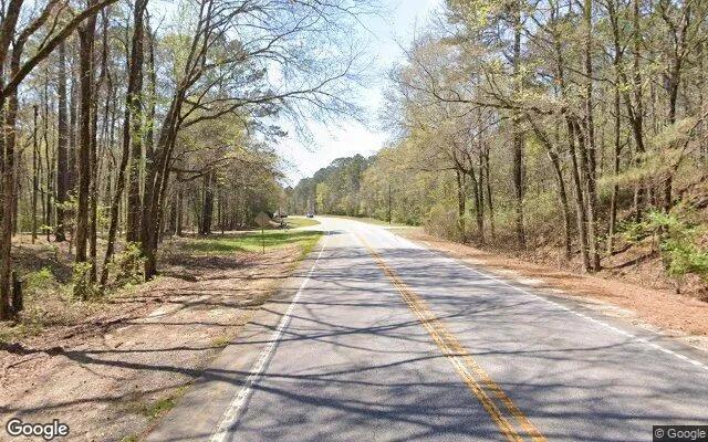 Decorative background for 7.73 Acres in Ellerslie - Harris County, GA image 5
