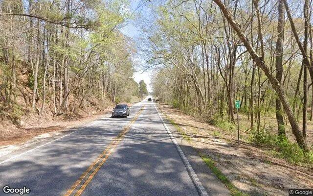 Decorative background for 7.73 Acres in Ellerslie - Harris County, GA image 6