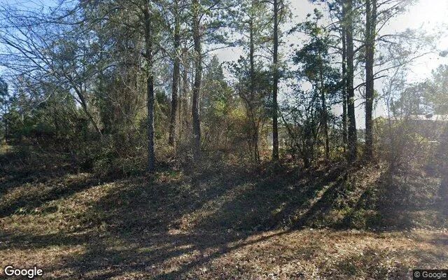 0.44 Acres in Mc Intyre - Wilkinson County, GA in Wilkinson County, Georgia