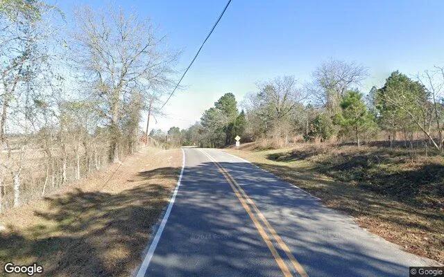 Decorative background for 0.44 Acres in Mc Intyre - Wilkinson County, GA image 5
