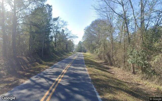 Decorative background for 0.44 Acres in Mc Intyre - Wilkinson County, GA image 6