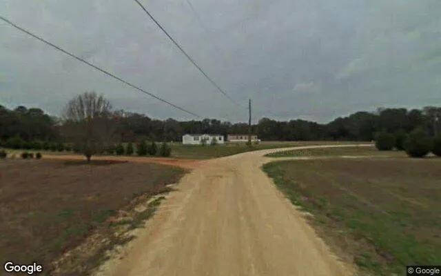 Decorative background for 0.77 Acres in Arlington - Calhoun County, GA image 5