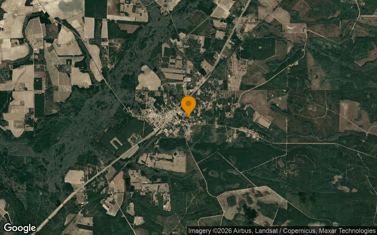 0.11 Acres in Screven - Wayne County, GA in Wayne County, Georgia