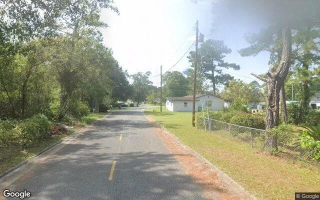 Decorative background for 0.11 Acres in Screven - Wayne County, GA image 6