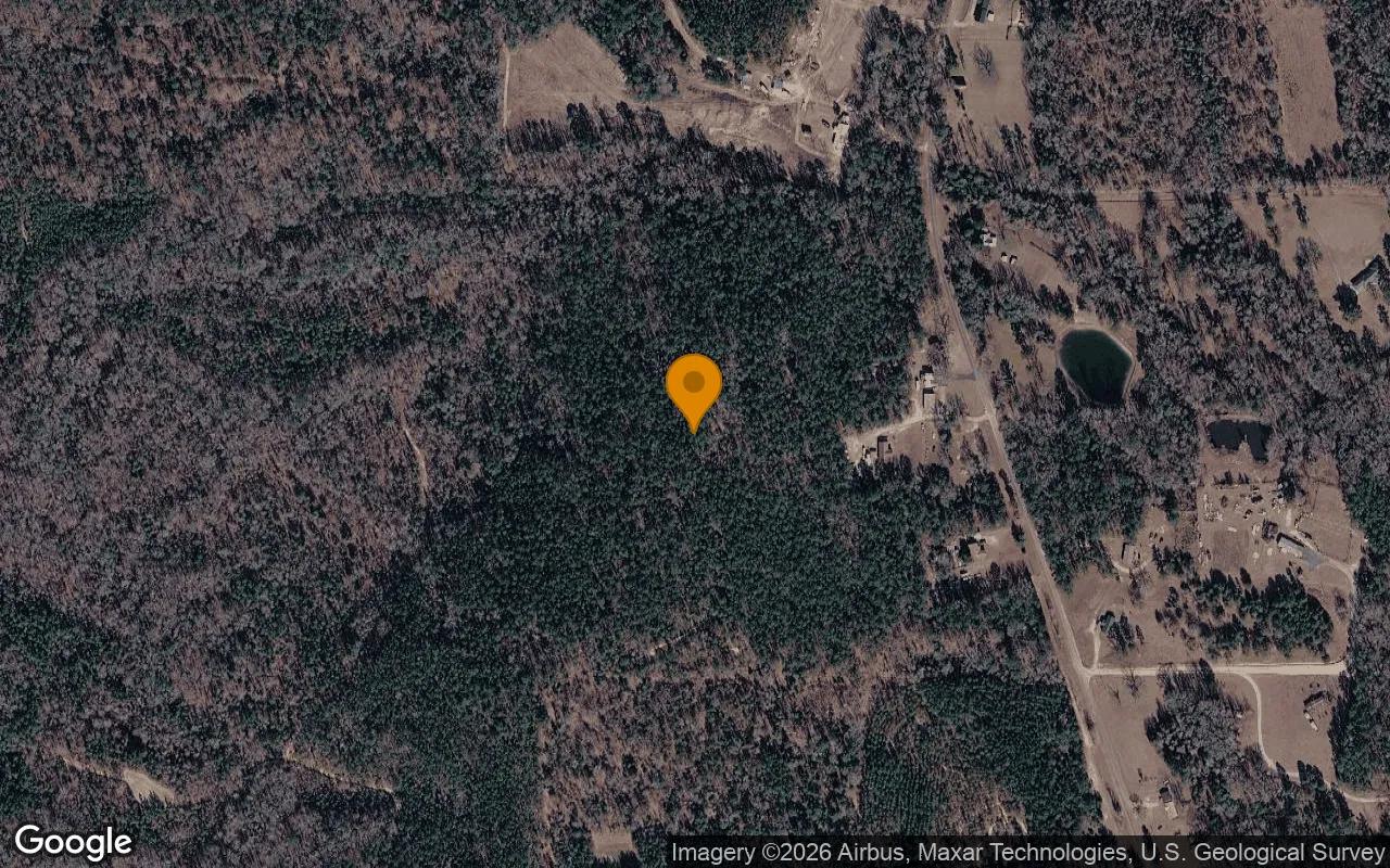35.95 Acres in Box Springs - Talbot County, GA - Main image
