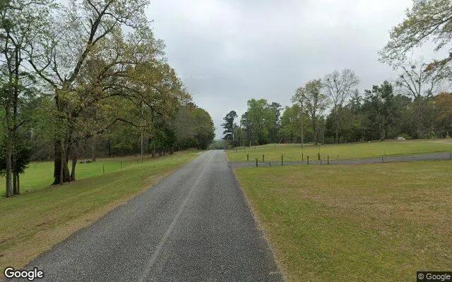 Decorative background for 35.95 Acres in Box Springs - Talbot County, GA image 5