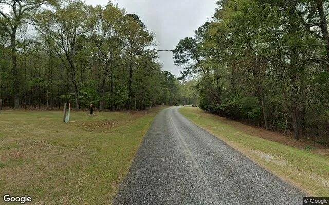 Decorative background for 35.95 Acres in Box Springs - Talbot County, GA image 6