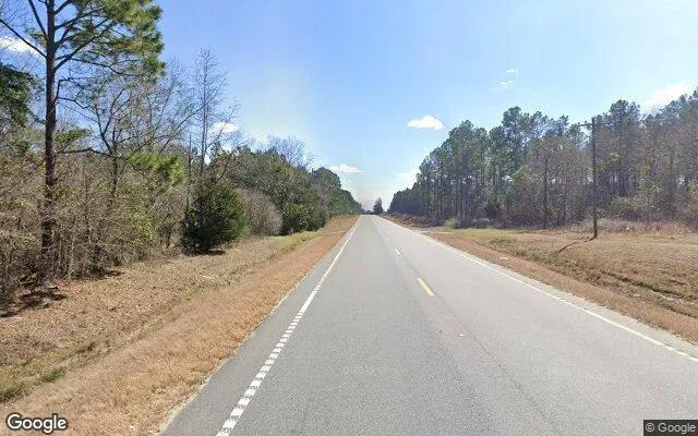 Decorative background for 3.5 Acres in Dublin - Laurens County, GA image 5