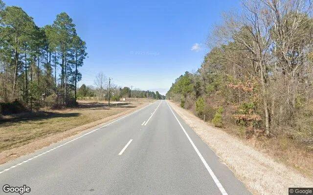 Decorative background for 3.5 Acres in Dublin - Laurens County, GA image 6