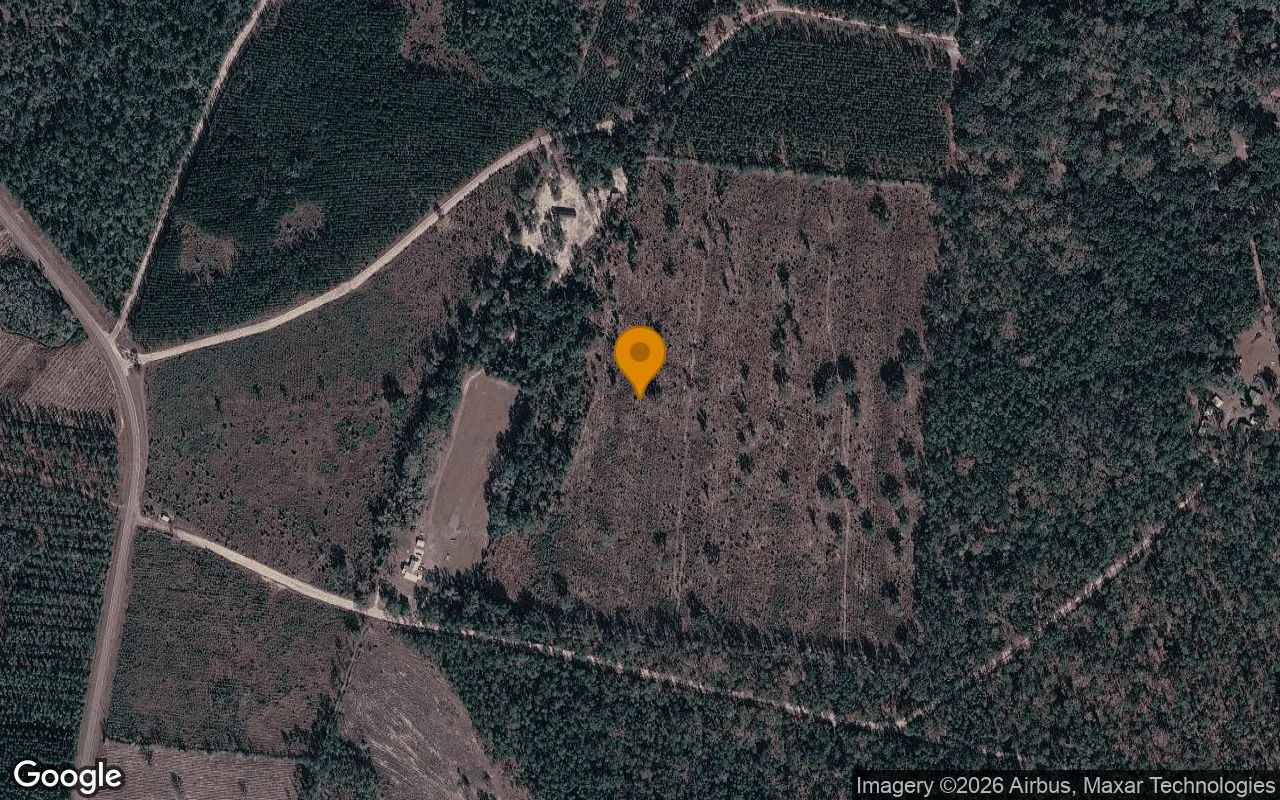 14.9 Acres in Nahunta - Brantley County, GA in Brantley County, Georgia
