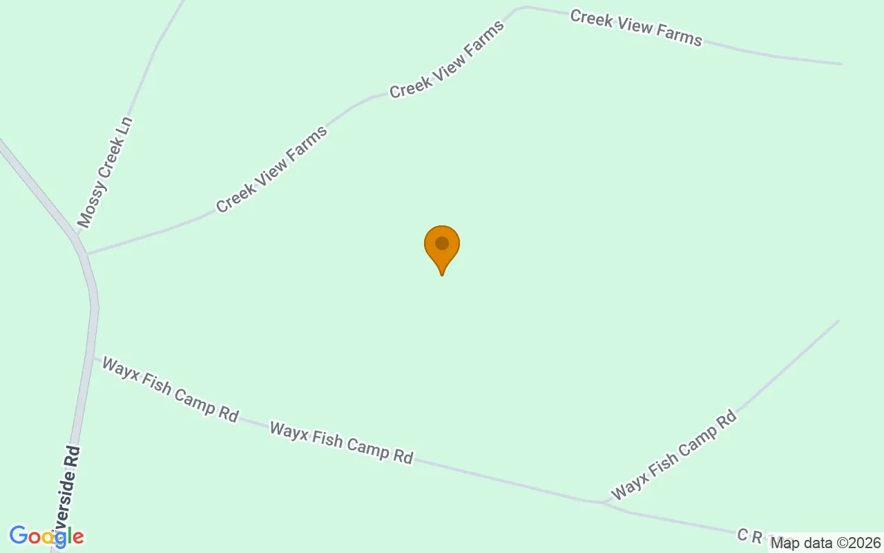 14.9 Acres in Nahunta - Brantley County, GA in Brantley County, Georgia