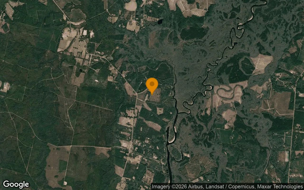 14.9 Acres in Nahunta - Brantley County, GA in Brantley County, Georgia