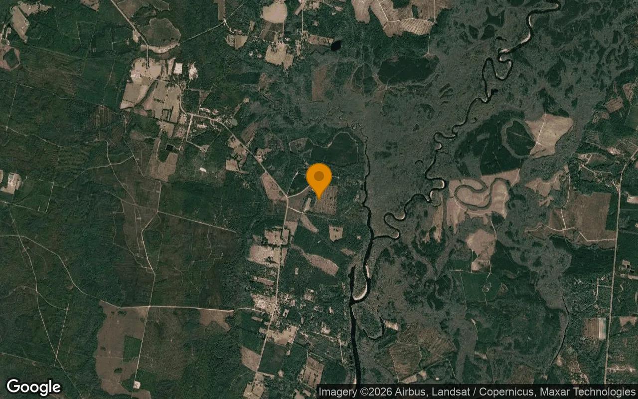 14.9 Acres in Nahunta - Brantley County, GA - Image 3