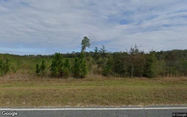 14.9 Acres in Nahunta - Brantley County, GA in Brantley County, Georgia