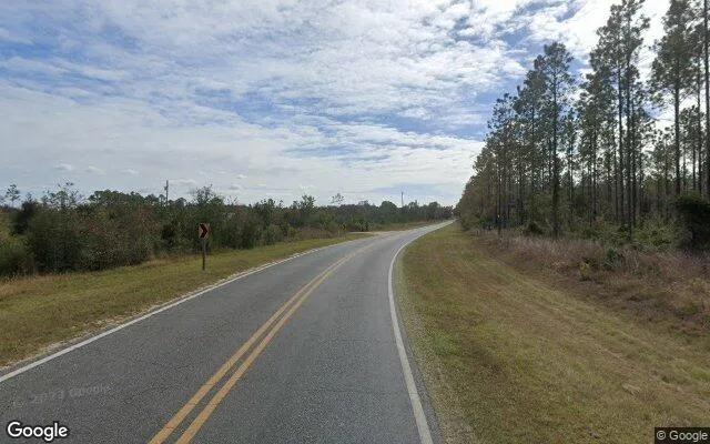 Decorative background for 14.9 Acres in Nahunta - Brantley County, GA image 6