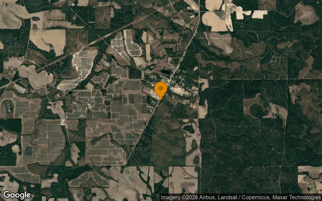 1.13 Acres in Denton - Jeff Davis County, GA - Image 3