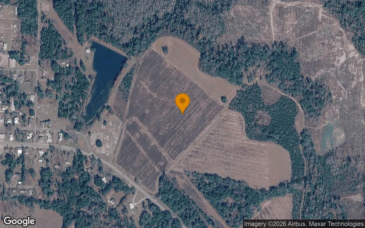 74.44 Acres in Morgan - Calhoun County, GA - Main image