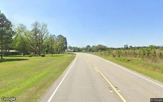 Decorative background for 74.44 Acres in Morgan - Calhoun County, GA image 5