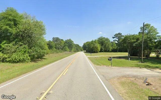 Decorative background for 74.44 Acres in Morgan - Calhoun County, GA image 6