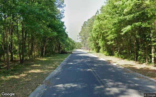 Decorative background for 0.55 Acres in Waycross - Ware County, GA image 6