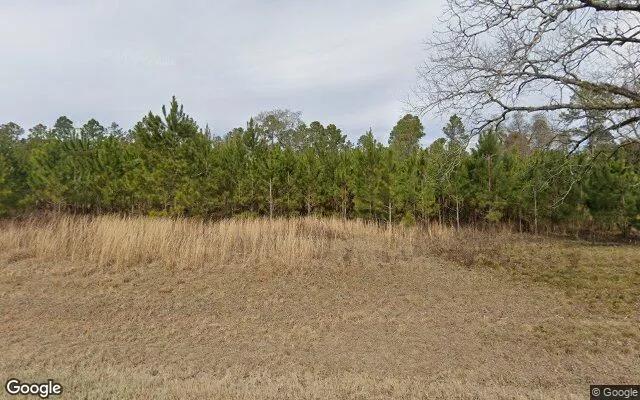 1.5 Acres in Leary - Baker County, GA - Image 4
