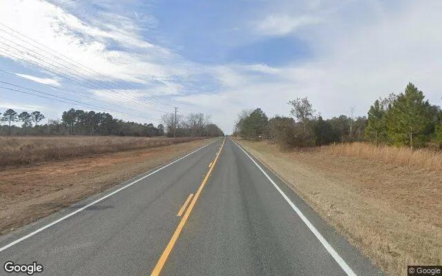 Decorative background for 1.5 Acres in Leary - Baker County, GA image 5