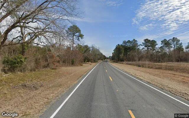 Decorative background for 1.5 Acres in Leary - Baker County, GA image 6