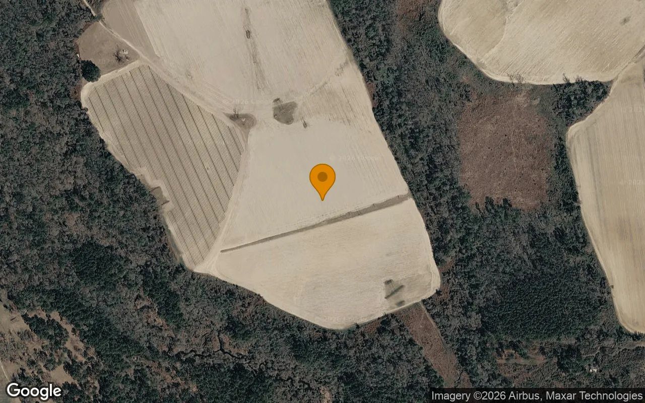 124.83 Acres in Adel - Cook County, GA in Cook County, Georgia