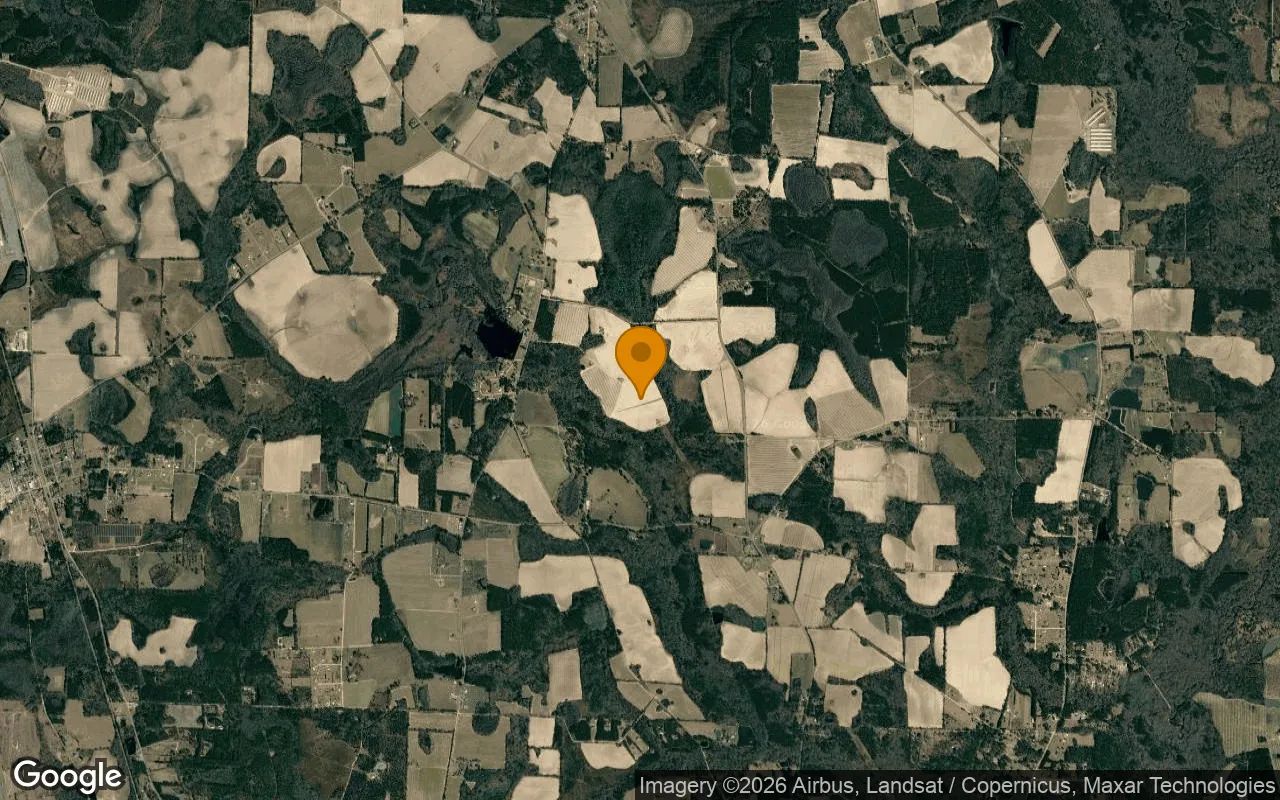 124.83 Acres in Adel - Cook County, GA in Cook County, Georgia