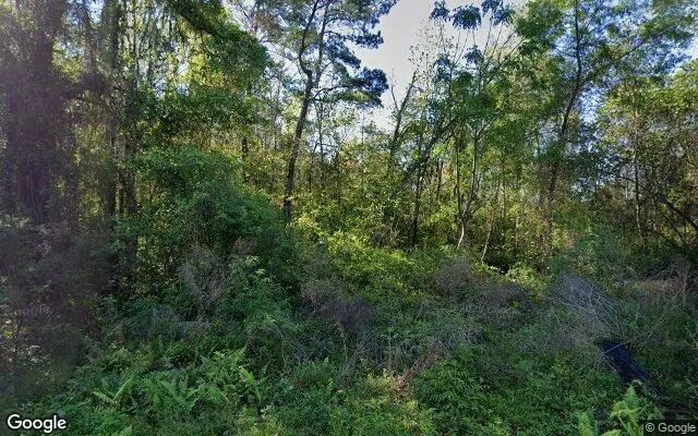 124.83 Acres in Adel - Cook County, GA in Cook County, Georgia