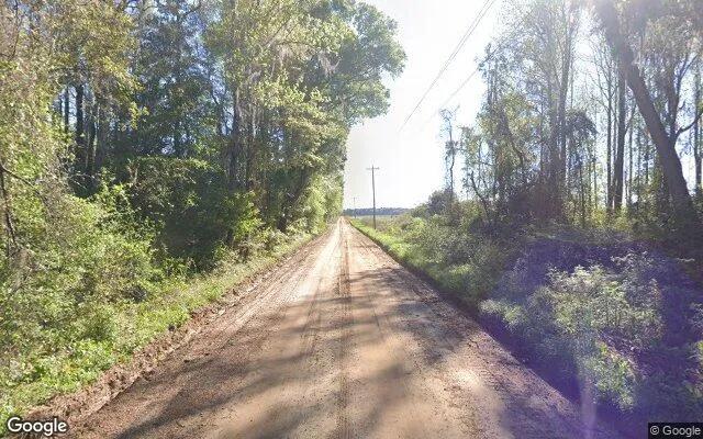 Decorative background for 124.83 Acres in Adel - Cook County, GA image 5