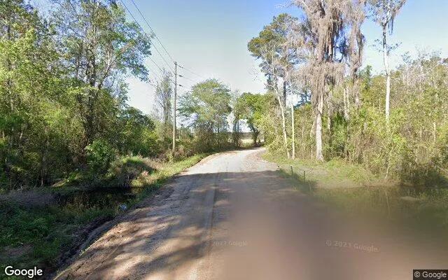 Decorative background for 124.83 Acres in Adel - Cook County, GA image 6