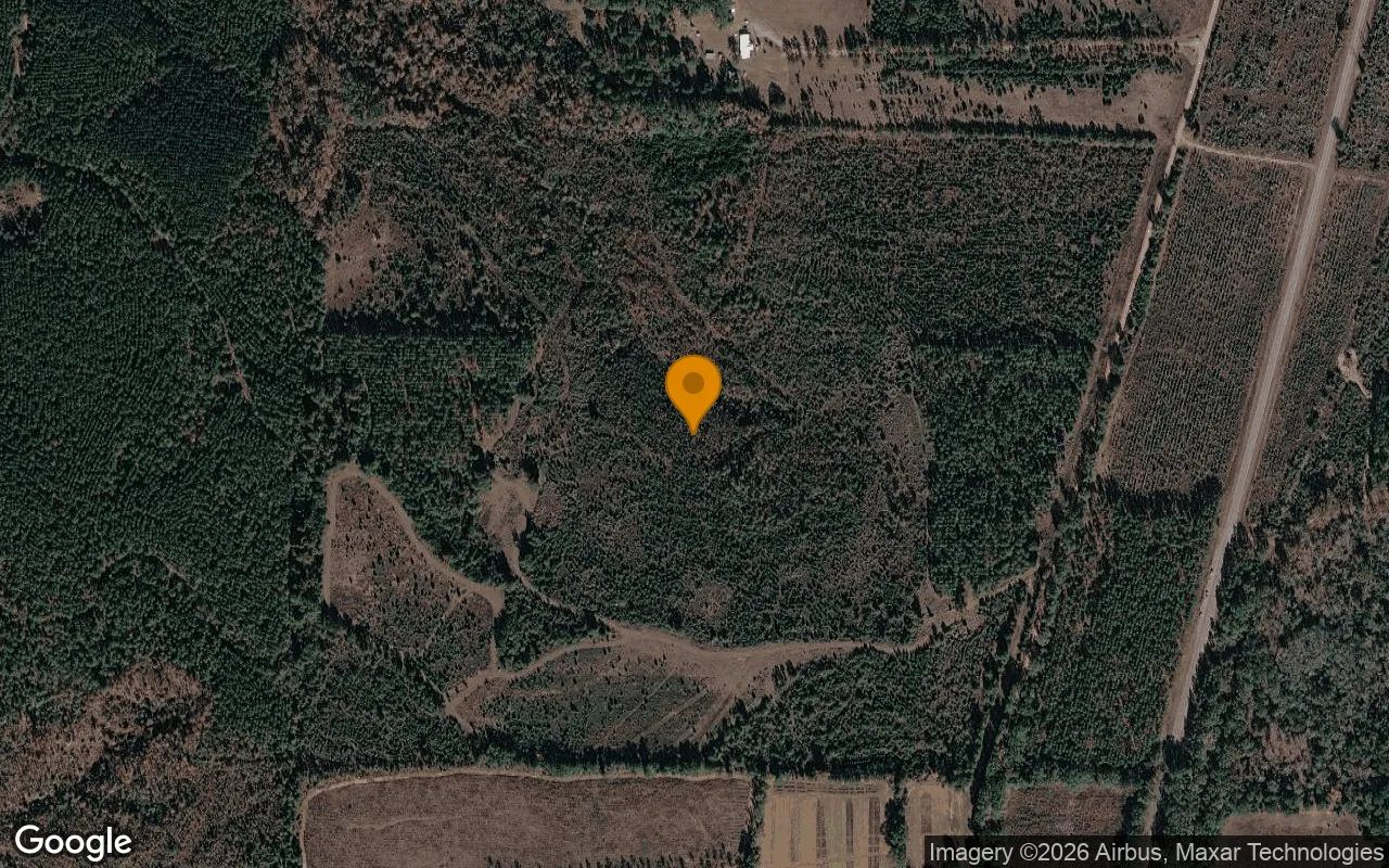 35.72 Acres in Lumpkin - Stewart County, GA in Stewart County, Georgia