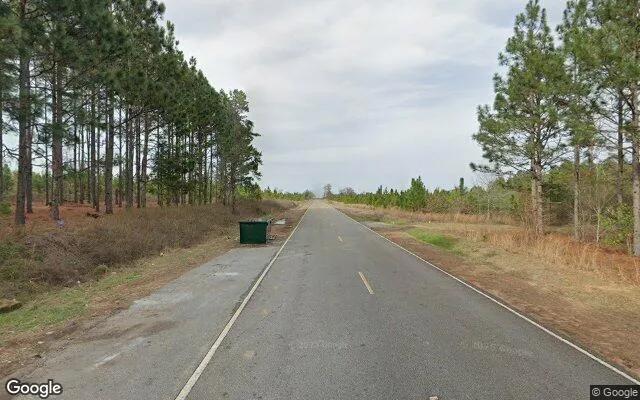 Decorative background for 35.72 Acres in Lumpkin - Stewart County, GA image 6