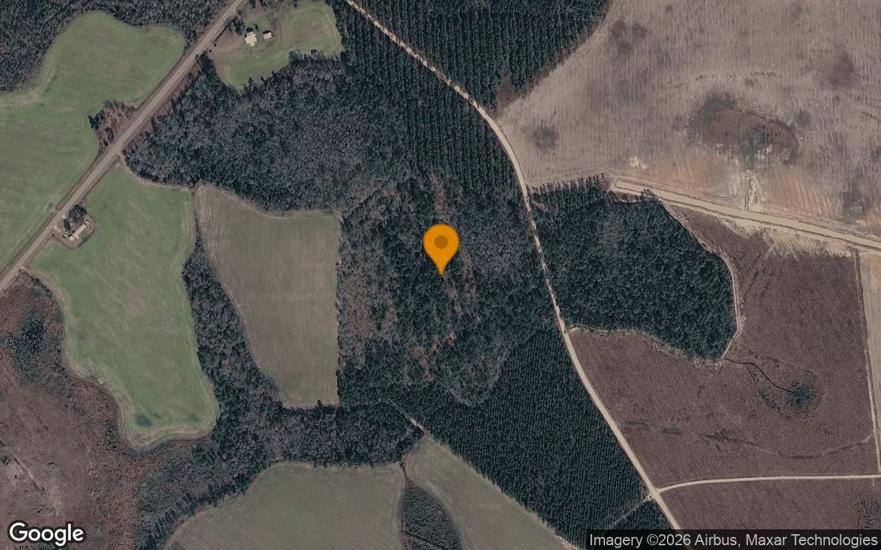 35.54 Acres in Pearson - Atkinson County, GA in Atkinson County, Georgia