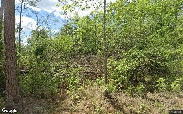 35.54 Acres in Pearson - Atkinson County, GA in Atkinson County, Georgia