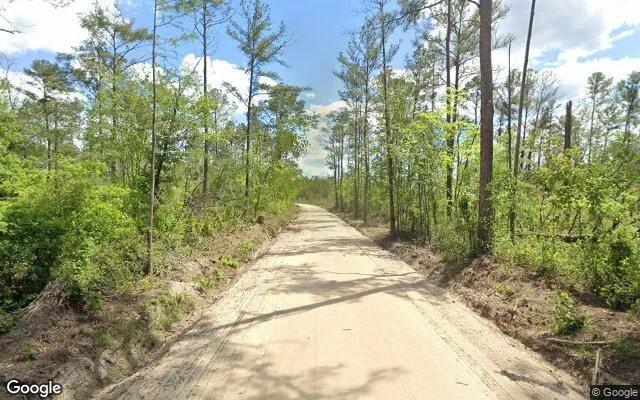 Decorative background for 35.54 Acres in Pearson - Atkinson County, GA image 5