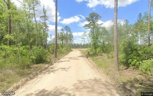 Decorative background for 35.54 Acres in Pearson - Atkinson County, GA image 6