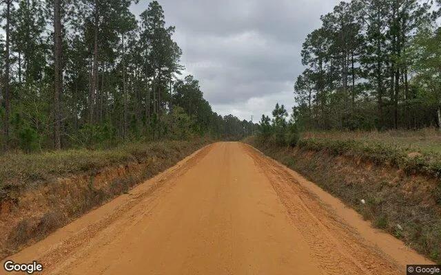 Decorative background for 3.49 Acres in Fitzgerald - Ben Hill County, GA image 5