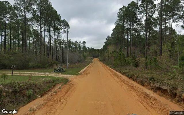 Decorative background for 3.49 Acres in Fitzgerald - Ben Hill County, GA image 6