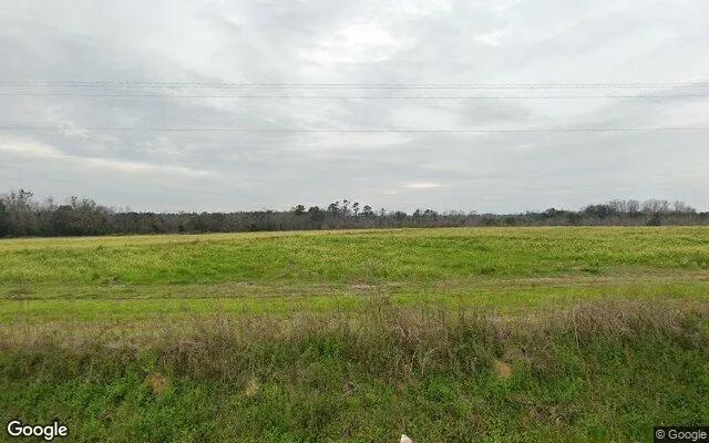 75.04 Acres in Quitman - Brooks County, GA - Image 4