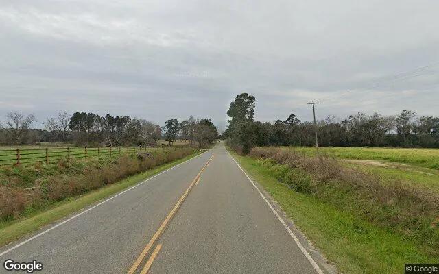 Decorative background for 75.04 Acres in Quitman - Brooks County, GA image 5