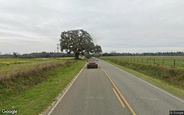 Decorative background for 75.04 Acres in Quitman - Brooks County, GA image 6