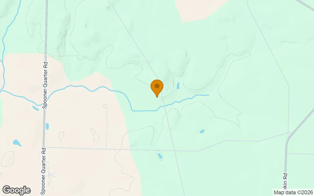 Decorative background for 15.02 Acres in Jakin - Early County, GA image 5